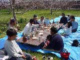 DSC00054.JPG