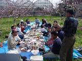 DSC00061.JPG