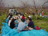 DSC00062.JPG