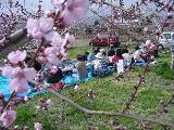 DSC00063.JPG